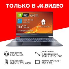 Игровой ноутбук Thunderobot 911 X Wild Hunter G2 XP 911 X Wild Hunter G2 XP