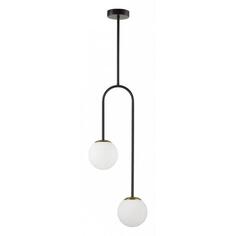 Светильник потолочный Lumion Dexter 6500/2C Dexter 6500/2C