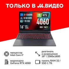 Игровой ноутбук Thunderobot Gravity 16 Pro (JT009X00FRU) Gravity 16 Pro (JT009X00FRU)