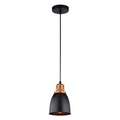 Светильник подвесной Arte Lamp Eurica (A4248SP-1BK) Eurica (A4248SP-1BK)