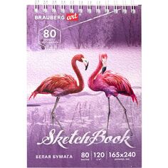 Скетчбук Brauberg Debut, белая бумага 120 г/м2, гребень, твердая обложка, 80 листов, 165х240 мм (112990) Debut, белая бумага 120 г/м2, гребень, твердая обложка, 80 листов, 165х240 мм (112990)