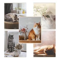 Тетради Brauberg Дэк: Cats, А5, в клетку, матовая ламинация, 48 листов, 5 шт (404673) Дэк: Cats, А5, в клетку, матовая ламинация, 48 листов, 5 шт (404673)