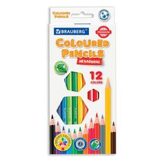 Карандаши цветные Brauberg Premium, пластиковые, шестигранные, грифель мягкий 3 мм, 12 цветов (181666) Premium, пластиковые, шестигранные, грифель мягкий 3 мм, 12 цветов (181666)