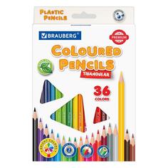 Карандаши цветные Brauberg Premium, пластиковые, трехгранные, мягкий грифель 3 мм, 36 цветов (181664) Premium, пластиковые, трехгранные, мягкий грифель 3 мм, 36 цветов (181664)