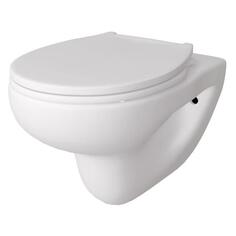 Унитаз Teymi Hanna Pro, подвесной, безободковый, сиденье микролифт (T40901) Hanna Pro, подвесной, безободковый, сиденье микролифт (T40901)