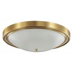 Настенно-потолочный светильник Lumion Nina 5259/4C Nina 5259/4C