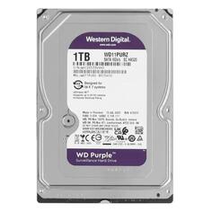 Жесткий диск WD 1TB Purple WD11PURZ 1TB Purple WD11PURZ