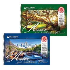 Альбом для рисования Brauberg "Природа", А4, 205х290 мм, 40 листов, 2 шт (880031) "Природа", А4, 205х290 мм, 40 листов, 2 шт (880031)