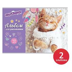 Альбом для рисования Юнландия "Кот в свитере", А4, 202х285 мм, 40 листов, 2 шт (880042) "Кот в свитере", А4, 202х285 мм, 40 листов, 2 шт (880042)