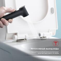 Смеситель с гигиеническим душем Raglo R03.53.06, встраиваемый R03.53.06, встраиваемый