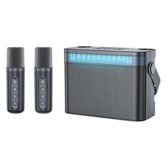 Портативная караоке-система iconBIT K902B, черная (TRS2402) K902B, черная (TRS2402)
