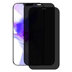 Комплект защитных стекол Perfeo Антишпион для Apple iPhone 12 mini, черная рамка, 2 шт (PF_E0024) Антишпион для Apple iPhone 12 mini, черная рамка, 2 шт (PF_E0024)