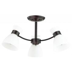 Люстра потолочная Lumion Wilma 4534/3C Wilma 4534/3C