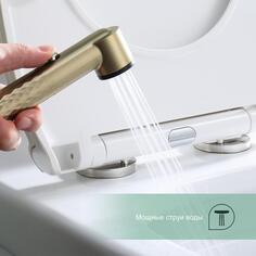 Смеситель для биде Splenka S99, настенный, с гигиеническим душем, золотистый (S99.51.03) S99, настенный, с гигиеническим душем, золотистый (S99.51.03)