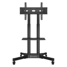 Cтойка для телевизора ONKRON с кронштейном 32-65", мобильная Black (TS1351) с кронштейном 32-65", мобильная Black (TS1351)