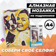 Алмазная мозаика QBRIX Pop-Art A4, картина по своей фотографии, на подрамнике Pop-Art A4, картина по своей фотографии, на подрамнике