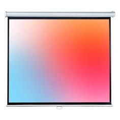 Экран для видеопроектора LUMIEN Eco Picture LEP-100105 Eco Picture LEP-100105