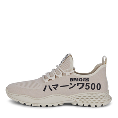 Кроссовки Briggs
