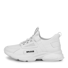 Кроссовки Briggs