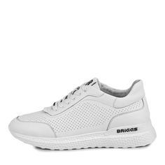 Кроссовки Briggs