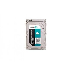 Жесткий диск Seagate Enterprise Capacity 1Tb (ST1000NM0055)