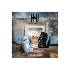 Виниловая пластинка Neal Morse Band, The, Innocence & Danger (0194398755816) Sony Music