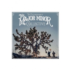 Виниловая пластинка Picturebooks, The, The Major Minor Collective (0194398731315) Sony Music