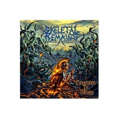 Виниловая пластинка Skeletal Remains, Condemned To Misery (0194398166018) Sony Music