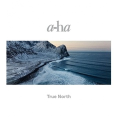 Виниловая пластинка A-Ha, True North (0196587083014) Sony Music