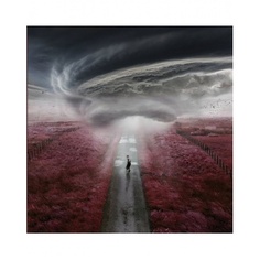 Виниловая пластинка Fraser, Dylan, The Storm EP (V12) (0190296761294) Warner Music