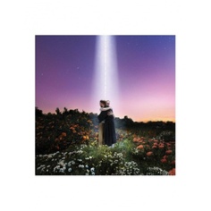 Виниловая пластинка Honne, Lets Just Say The World Ended A Week From Now, What Would You Do? (coloured) (0190296684005) Warner Music