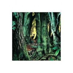 Виниловая пластинка Sylvian, David, Manafon (0602438768769) Universal Music