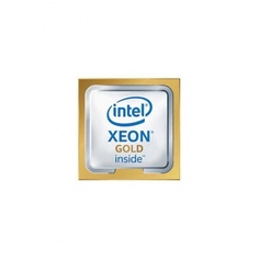 Процессор Intel Xeon Gold 6250 (CD8069504425402SRGTR) OEM