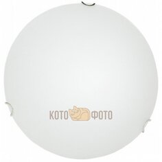 Настенно-потолочный светильник Arte Lamp Medusa A3720PL-3CC