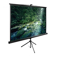 Экран напольный Cactus TriExpert CS-PSTE-220X165-BK черный