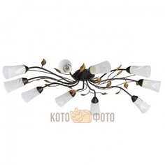 Люстра MW-Light Восторг 242015410