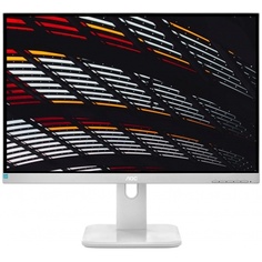 Монитор AOC 24" Professional X24P1/GR серый IPS