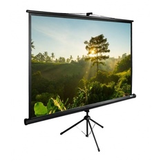 Экран напольный Cactus TriExpert CS-PSTE-200X200-BK черный