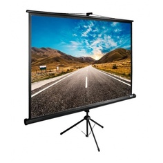 Экран напольный Cactus TriExpert CS-PSTE-160X160-BK черный