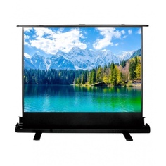 Экран напольный Cactus FloorExpert CS-PSFLE-160X90