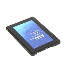 Накопитель SSD Hikvision E100 256Gb (HS-SSD-E100/256G)