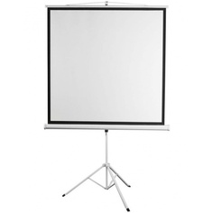 Экран на штативе Digis Kontur-D DSKD-1105 189х189