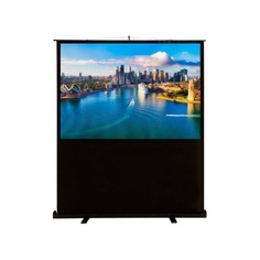 Экран напольный Cactus FloorCompactExpert CS-PSFLCE-160X120