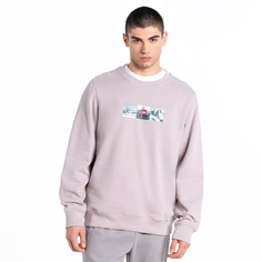 Мужской свитшот Джемпер M CREW EXPEDITION SYSTE Moonstone Grey The North Face