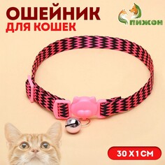 Ошейник кошачий Пижон