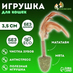 Игрушка-неваляшка для кошек Пижон