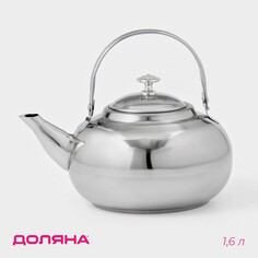 Чайник из нержавеющей стали Доляна