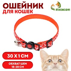 Ошейник кошачий Пижон