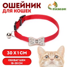 Ошейник кошачий Пижон
