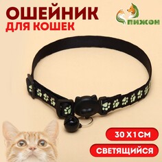 Ошейник кошачий Пижон